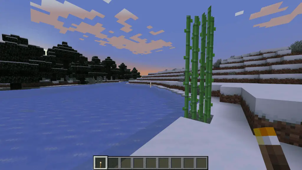 Minecraft where to find sugarcane