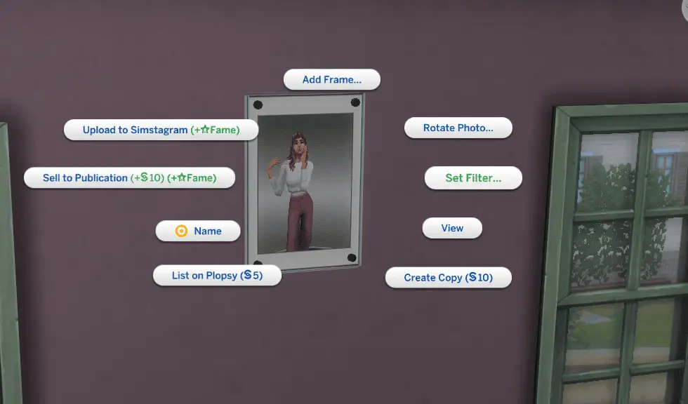 Sims 4 photo filters