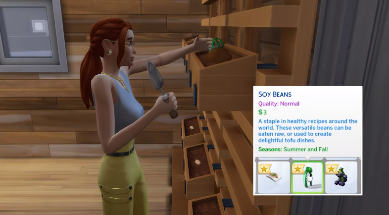 Sims 4 planting soy beans