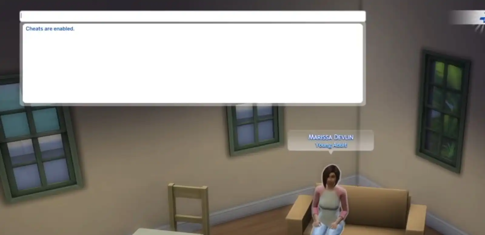 Activate cheats - Sims 4