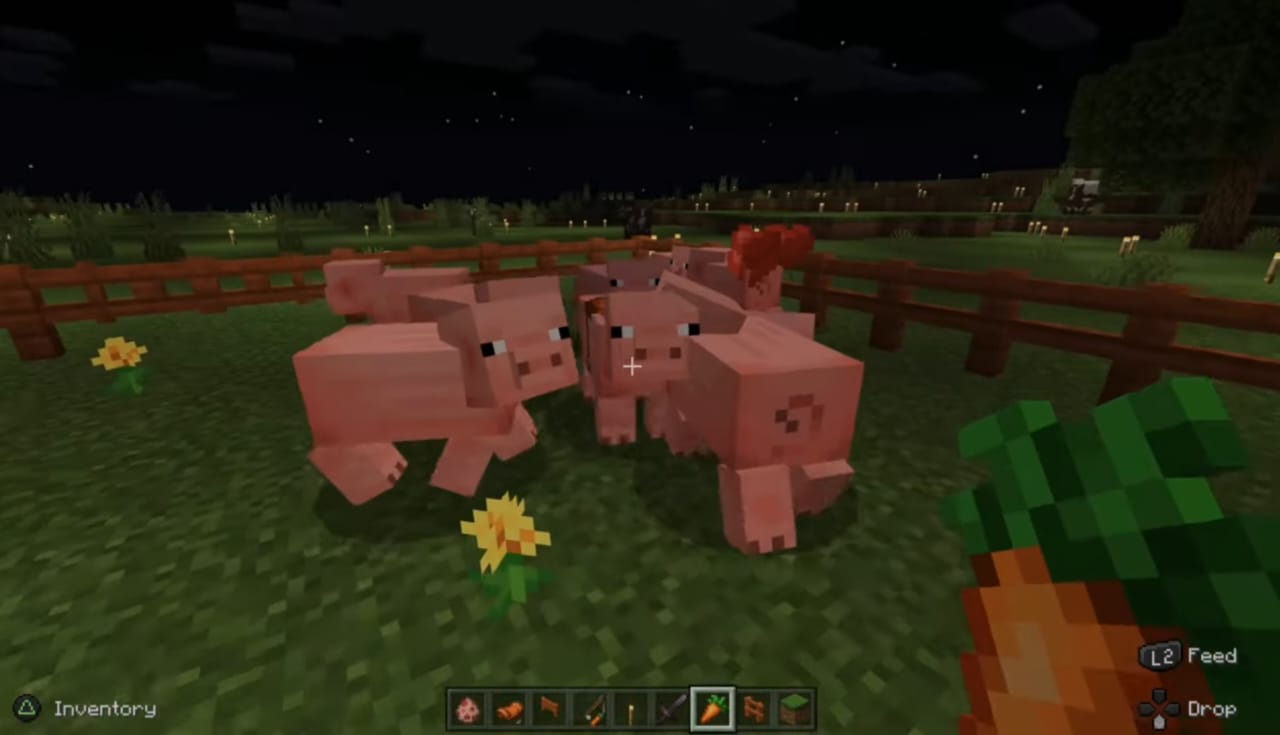 Taming pigs in minecraft