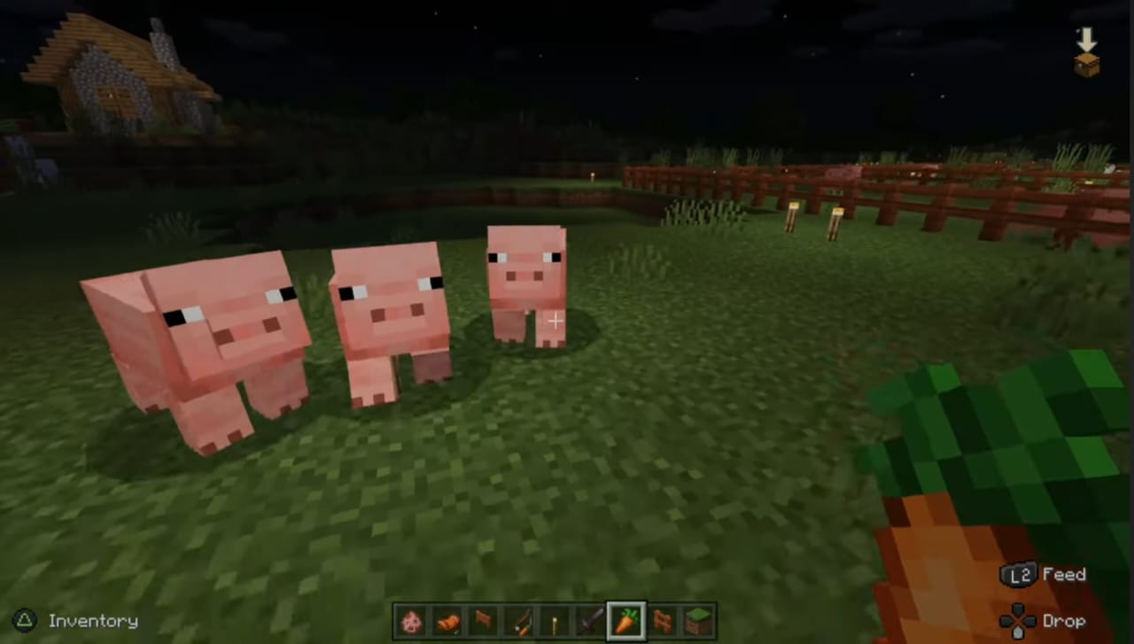 Taming pigs in minecraft