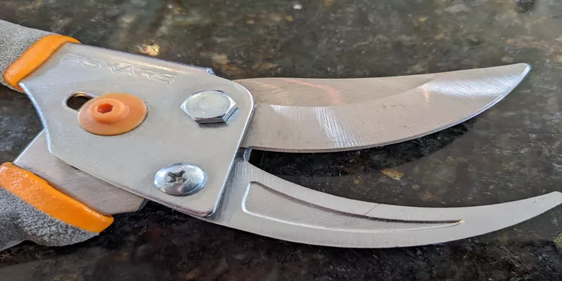 How to Clean Pruning Shears