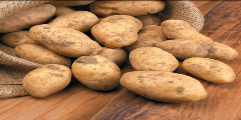 Posso mangiare le patate in gravidanza?