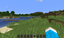 Growing grass in minecraft