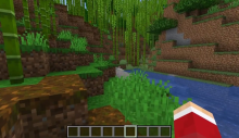 Minecraft growing bamboo