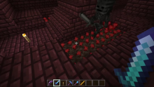 Minecraft growing nether wart faster