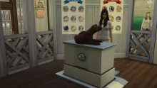 Sims 4 How to Make Pet Treats and When to Use Them