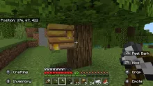 Minecraft: The Difference Between a Beehive and Bee Nest