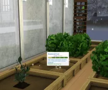 Sims 4 Guide to Fertilizers (Know Which One is the Best)
