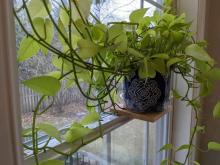 Window Sill Planter